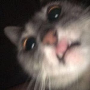 Meet your Posher, Payton